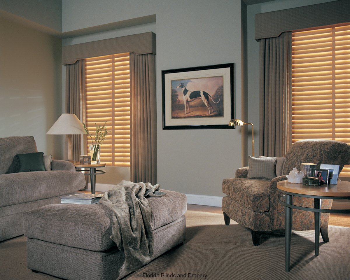 Drapery and Blinds Cleaning